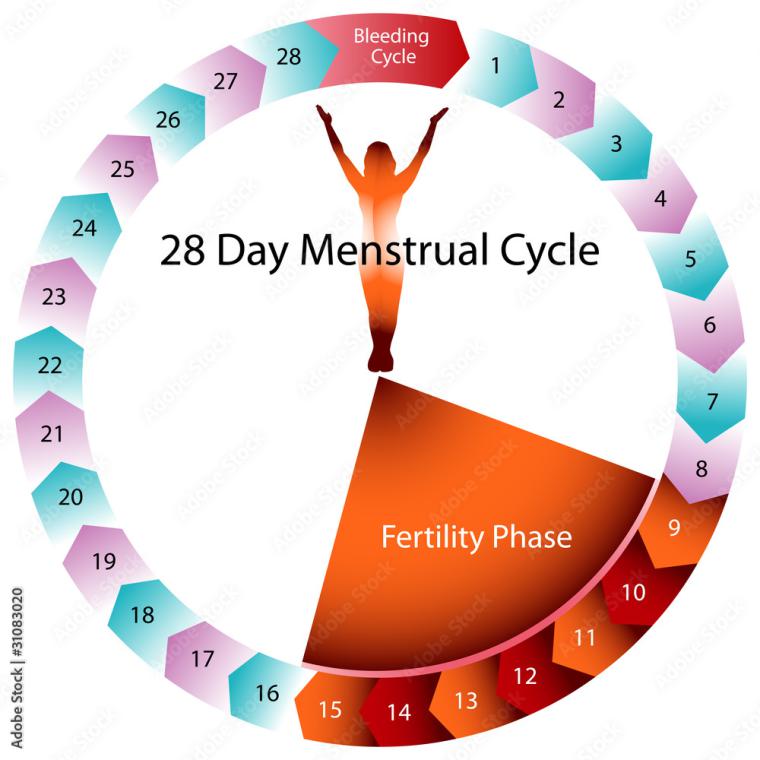 14 Yaşındayım 4 Ay Adet Gecikmesi Normal mi?